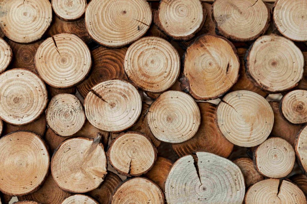 GUIDE: Best Wood for Woodburning + How to Choose
